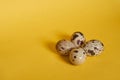 Four quail eggs lie next to each other on a yellow background