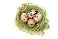 four quail eggs in a nest isolated on white background. Top view