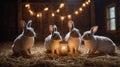 Adorable Baby Rabbits Gathered Around a Lantern in a Rustic Barn Royalty Free Stock Photo