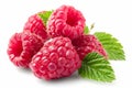 Four raspberries on a white background Royalty Free Stock Photo