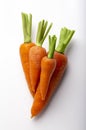 Four raw fresh carrots on white background