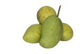 Four raw mangos isolated on white background with cipping path Royalty Free Stock Photo