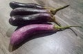 The Four Raw Purple Eggplants Royalty Free Stock Photo