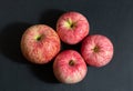 Four red apples on a black background closeup. Striped apples. Juicy fresh ripe fruit. View from above Royalty Free Stock Photo