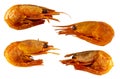 Four red boiled shrimp prawn with shell isolated on white Royalty Free Stock Photo