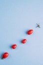 Four red cherry tomatoes on a blue background Royalty Free Stock Photo