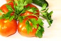 Four red fresh tomatoes with parsley on a light background Royalty Free Stock Photo