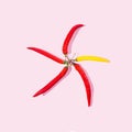 Four red and one yellow chili peppers arranged in a form of a star or a windmill. Pastel pink background. Happy healthy joyful