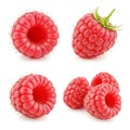 Four Red Raspberries Isolated on White Background Showing Different Views raspberry Royalty Free Stock Photo