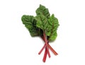 Four red stemmed chard leaves Royalty Free Stock Photo