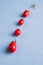 Four red tomatoes on a blue table Royalty Free Stock Photo