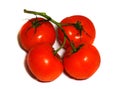 Four red tomatoes on a branch isolated on white Royalty Free Stock Photo