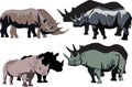 Four rhinoceroses isolated on white