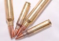 Four rifle bullets, two .223 caliber and two .300 Winchester Magnum caliber Royalty Free Stock Photo