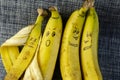 Four ripe bananas with faces. Love, relationships, family concept Royalty Free Stock Photo