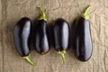 Four ripe black eggplants on linen cloth. Rustic top view Royalty Free Stock Photo