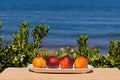 Four ripe peaches align on a white plate by the Sardinian sea. Bathed in southern sun. Royalty Free Stock Photo