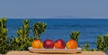 Four ripe peaches align on a white plate by the Sardinian sea. Bathed in southern sun. Royalty Free Stock Photo