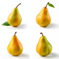 Four Ripe Pears with Water Droplets on a White Background Studio Shot Royalty Free Stock Photo