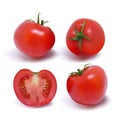 Four ripe red tomatoes. Photo-realistic vector illustration