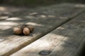 Four ripe wild walnuts on wooden table in the forest