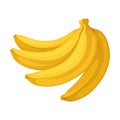 Four bananas in a bunch. Vector illustration on a white background.