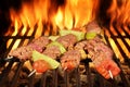 Four Roasted Beef Kebabs With Vegetables On BBQ Flaming Grill Royalty Free Stock Photo