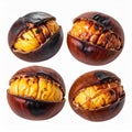 Four Roasted Chestnuts with Golden Yellow Kernels and Dark Brown Shells on White Background Royalty Free Stock Photo