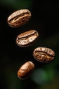 Four Roasted Coffee Beans Falling Against a Dark Background, Isolated with Selective Focus Royalty Free Stock Photo