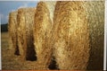 Four round bales of hay in a field