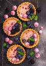 Four round shaped cheesecakes with fresh berries, meringue and mint