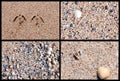 Four sandy background textures Royalty Free Stock Photo