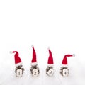 Four santa hats on fir cone with the four numbers for advent on
