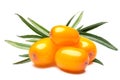 Four sea buckthorn berries, clipping paths