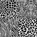 Four seamless patterns of animal prints. Abstract black and white composition of the pattern of zebra, tiger, lizard