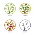 Four season concept with apple tree season change in spring summer autumn winter in circle sign vector design Royalty Free Stock Photo