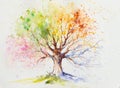 Four season tree watercolors painted Royalty Free Stock Photo