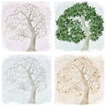 Four seasons of apple tree