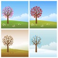 Four seasons backgrounds Royalty Free Stock Photo