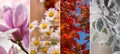Four Seasons Banners Set. Collection of Spring Summer autumn and Winter backgrounds Royalty Free Stock Photo