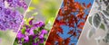 Four Seasons Banners Set. Collection of Spring Summer autumn and Winter backgrounds Royalty Free Stock Photo