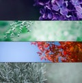 Four Seasons Banners Set. Collection of Spring Summer autumn and Winter backgrounds in wide format with blurred copy Royalty Free Stock Photo
