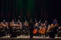 FOUR SEASONS Chamber Orchestra