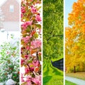 Four seasons collage