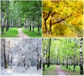 Four seasons collage Royalty Free Stock Photo