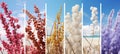 four seasons collage vibrant vertical divided nature photos winter, spring, summer, autumn Royalty Free Stock Photo
