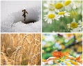 Four seasons collage Royalty Free Stock Photo