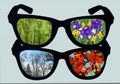 Four Seasons through Glasses Royalty Free Stock Photo