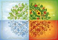 Four seasons illustrated in a square, each section representing a Royalty Free Stock Photo