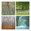 Four Seasons Nature Collage Royalty Free Stock Photo